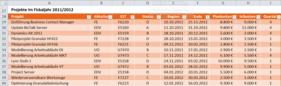 Auszug aus der Tabelle mit den Projektdaten